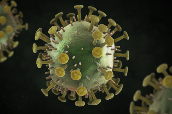 HIV%20virus.jpg