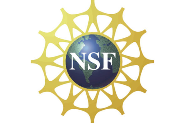 NSF%20Logo.jpg