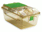 "Green Line" Tecniplast PIV Cage