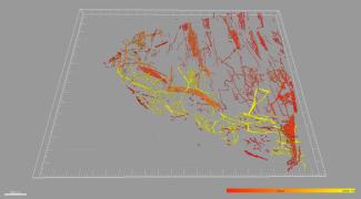 sample image from light micro core