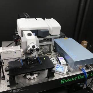 Zeiss LSM 880 Upright Multiphoton Microscope