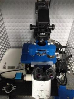 JPK Nanowizard 4 Atomic Force Microscope