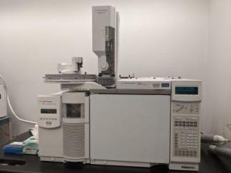 Agilent 6890N GC/5975 Quadrupole Mass Spectrometer