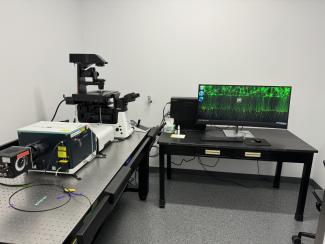 Nikon CSU-W1 SoRa Confocal Microscope