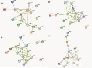 Figure Legend: STRING protein-protein network analyses for (a) systemic VCAM1 and infarct volume, (b) intracranial VCAM1 and infarct volume, (c) systemic VCAM1 and infarct edema volume, and (d) intracranial VCAM1 and infarct edema volume.