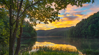 lake in nature