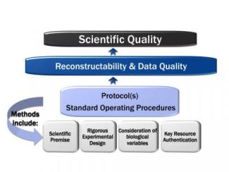 Scientific quality is at the top of the image. Contributors to scientific quality (pictured below scientific  quality) include reconstructability as well as data quality. The written methods (protocol(s)/standard  operating procedures, pictured below reconstructability & data quality) should describe the elements as  identified by NIH as critical, which are represented along the bottom of the image, under protocol(s)/standard operating procedures, including: scientific premise, rigorous experimental design,