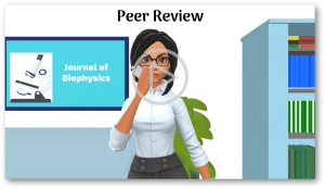 Peer Review 02:39