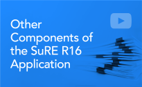 Other Components of SuRE R16 Application